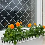 Maison Privee De 70m2 Avec Pergola Et Jardin A 15min Centre De Strasbourg Chez Regine بيت للعطل ستشيلتيغهيم