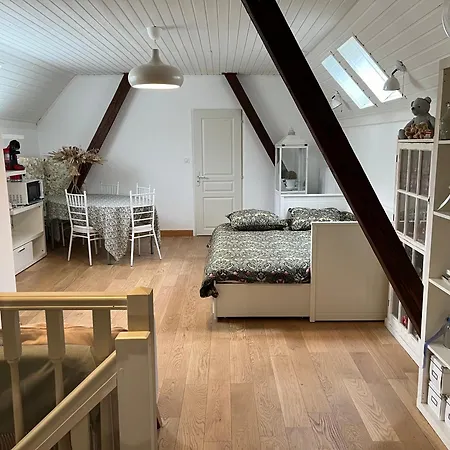 Dans Maison privée Appartement de charme, 70m2 avec pergola Et jardin à 20min MARCHE de NOEL de Strasbourg Casa vacanze Schiltigheim
