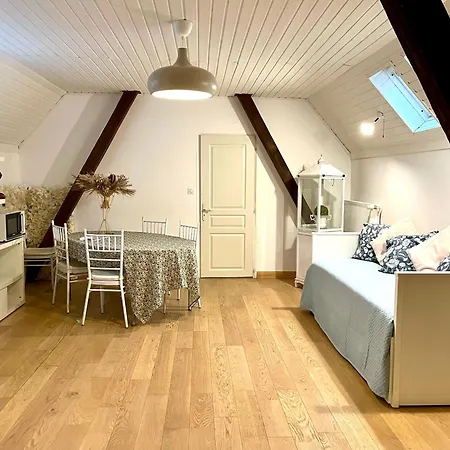 Casa vacanze Comme D Hotel, 45m2 Chez Regine Schiltigheim