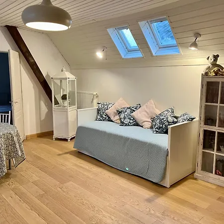 Dans Maison privée Appartement de charme, 70m2 avec pergola Et jardin à 20min MARCHE de NOEL de Strasbourg Casa vacanze Schiltigheim