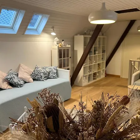 Dans Maison privée Appartement de charme, 70m2 avec pergola Et jardin à 20min MARCHE de NOEL de Strasbourg Casa vacanze Schiltigheim