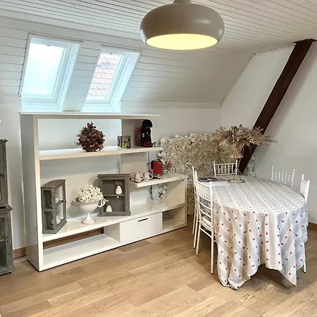 Dans Maison privée Appartement de charme, 70m2 avec pergola Et jardin à 20min MARCHE de NOEL de Strasbourg Casa vacanze *