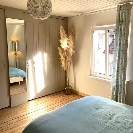 Tatil Evi Maison Privee, La Glycine Blanche, A 10min De Strasbourg *