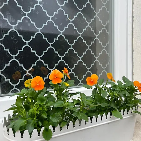Maison Privee De 70m2 Avec Pergola Et Jardin A 15min Centre De Strasbourg Chez Regine Feriehus Schiltigheim