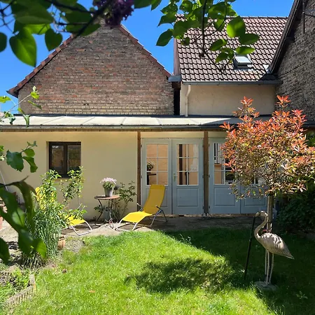 Maison Privee, La Glycine Blanche, A 10min De Strasbourg 펜션