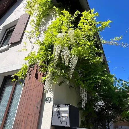 Tatil Evi Maison Privee, La Glycine Blanche, A 10min De Strasbourg