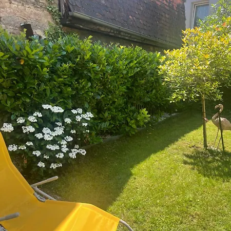 Casa vacanze Maison Privée, La Glycine Blanche, A 10min De Strasbourg