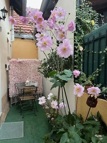 Maison Privee De 70m2 Avec Pergola Et Jardin A 15min Centre De Strasbourg Chez Regine 펜션 쉴티그하임